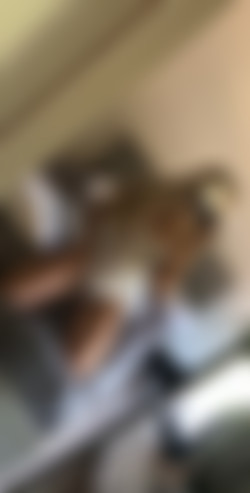 [OnlyFans.com] Elle Brooke (@ellebrookeuk)/18-09-22 2083939 360x710.mp4