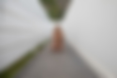 [PHD] 2024-09/16 Mila Anne - Trapped/28l.jpg