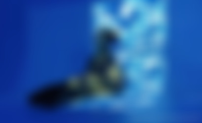 [OnlyFans.com AnaSivona - Update May 31 2023/Images/1178x718_6c09f194347ce79b6767a9b7601df5f8.jpg