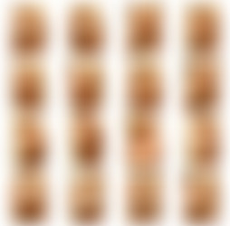 BrookLittle.com Siterip - Pictures/Brook, Jessica/Previews/Bikinis.png