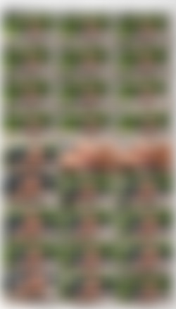Alsscan pee 2018/Thumbs/alsscan.18.02.05.sierra.nevadah.inner-space.probing.bts.mp4_thumbs_[2025.03.30_14.47.46].jpg