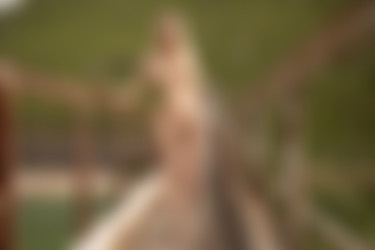 [PHD] 2024-07/22 Briana - The Bridge 2/33l.jpg