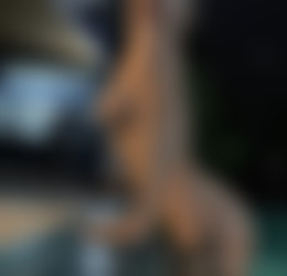 @arilaviee/Images/1200x1152_06b006b338b1e119fc6621f4d2afeb03.jpg