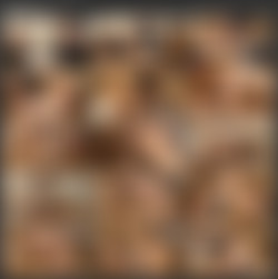 WTFPass.com Network SiteRip - Part #2/Dolls Porn/S/2013-College sexdoll is seduced and fucked.mp4.jpg