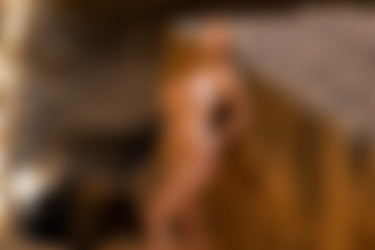 [PHD] 2024-12/20 Mila Anne - Solarys 2/30l.jpg