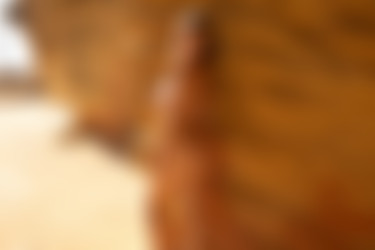 [PHD] 2024-12/20 Mila Anne - Solarys 2/41l.jpg