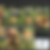 Karen Lancaume thumbnail
