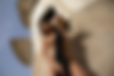 2022phdee/2022-03/[photodromm] 2022-03-08 Parker - Vertical II (x42, 3000 px)/Vertical II (20).jpg