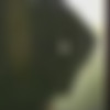 netvideogirls.com thumbnail