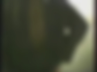 netvideogirls.com/2000-1/Harmony.wmv
